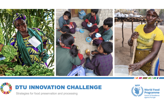 Centro de Excelência do WFP lança o primeiro desafio de inovação com DTU Skylab Foodlab