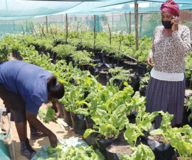 Brasil faz doação para projeto comunitário de sistemas alimentares na Namíbia