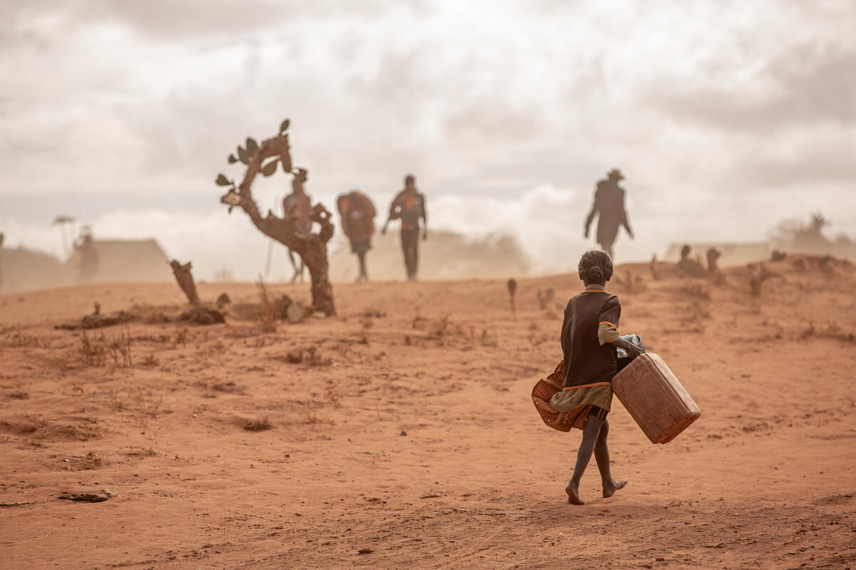 Dia Mundial da Alimentação: crise climática impulsiona a fome, alerta WFP 