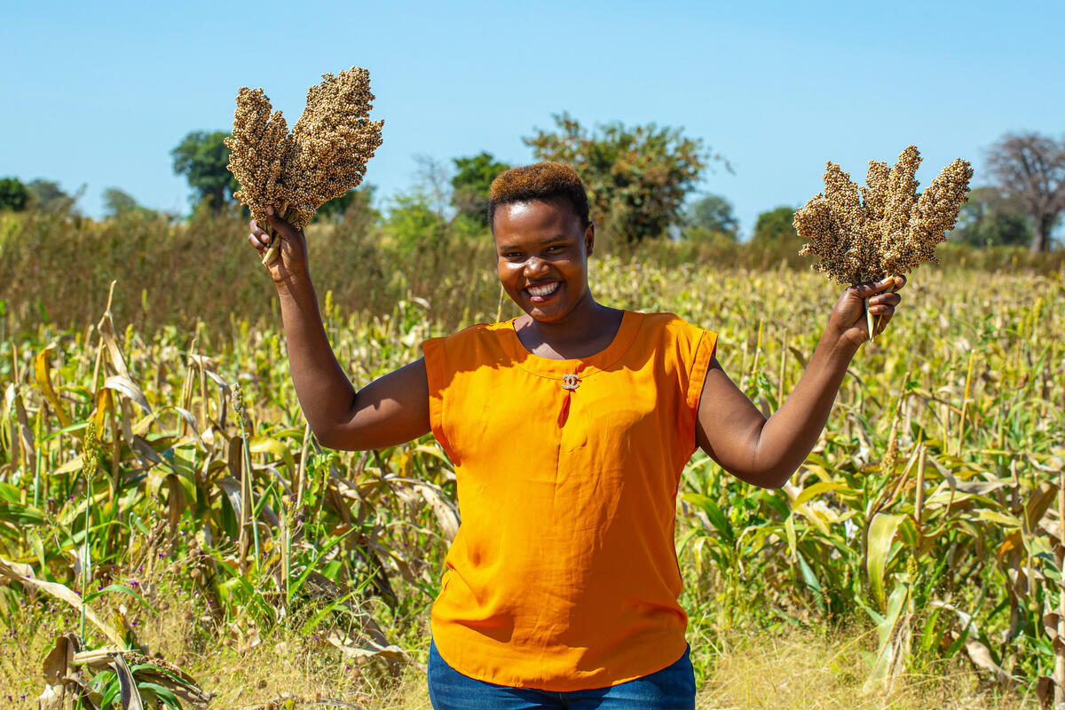 The photo shows a short-haired black woman wearing a yellow blouse and jeans in the middle of a sorghum plantation holding bundles of sorghum in both hands.