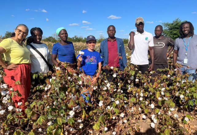 Group of people, men and women, wearing colourful clothes in the middle of a cotton field