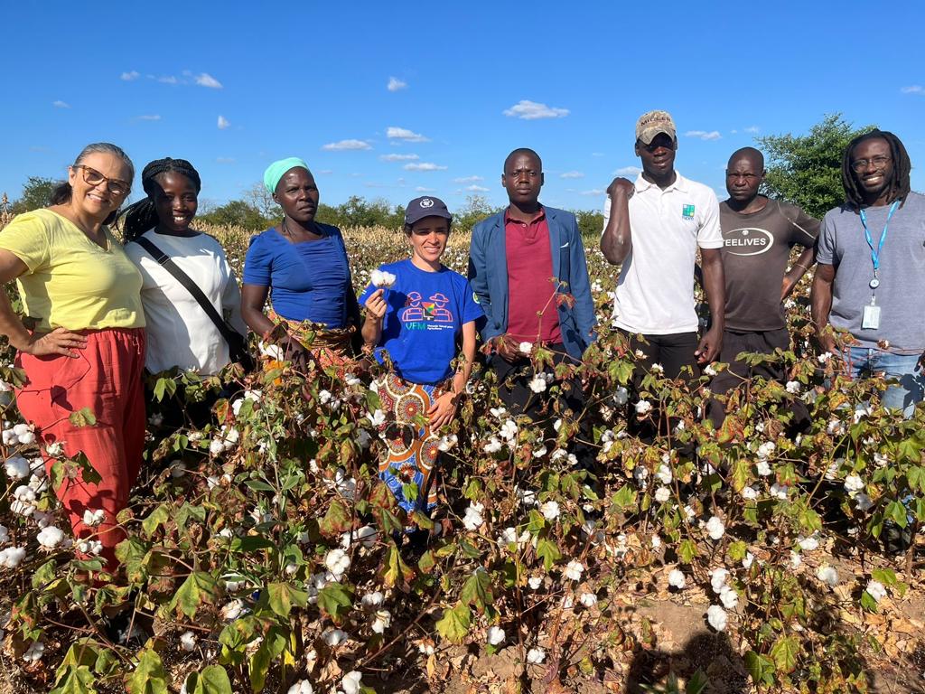 Grupo de pessoas, homens e mulheres, usando roupas coloridas em meio a um campo de algodão