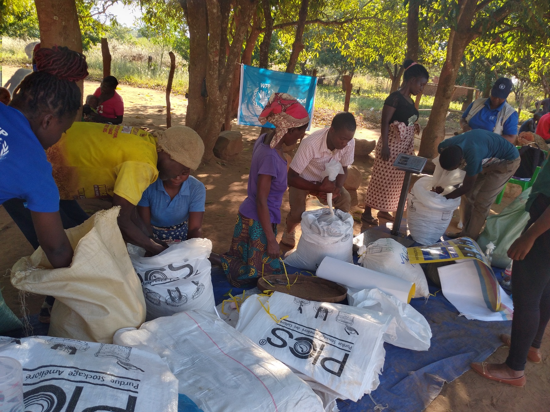 Farmers in colorful clothing using airtight bags to store their production.