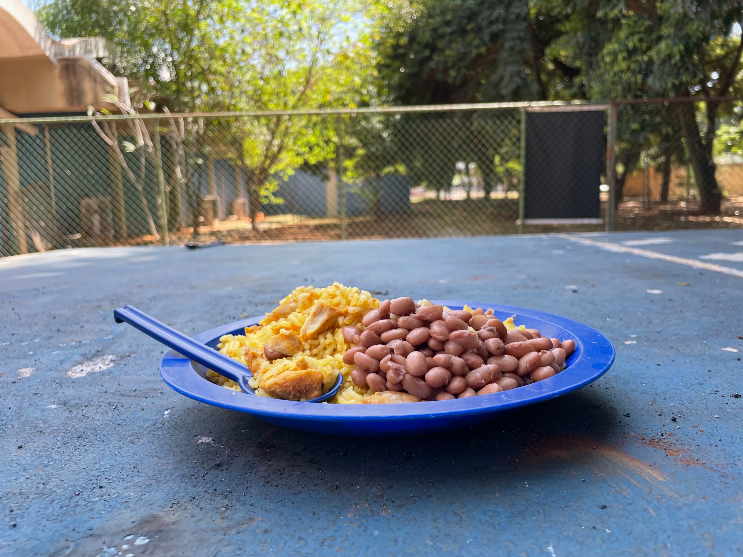 A foto mostra um prato azul com galinhada e feijão. 