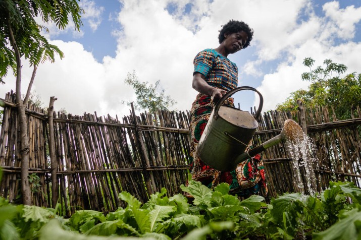 Projetos do Centro de Excelência são discutidos no Diálogo Brasileiro da Cúpula dos Sistemas Alimentares